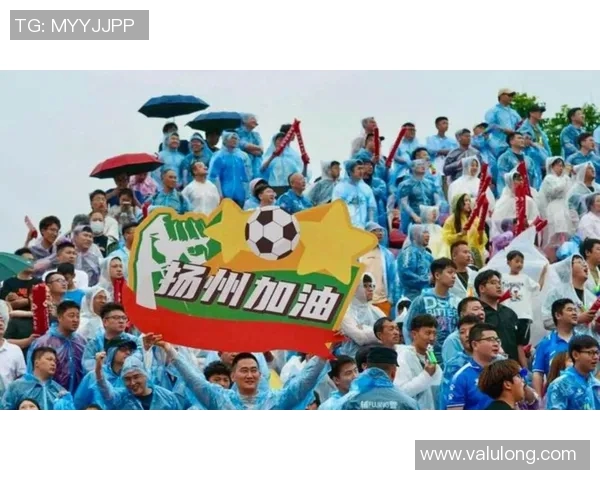 南京足球队状态引发热议球迷对球队表现的分歧与期待