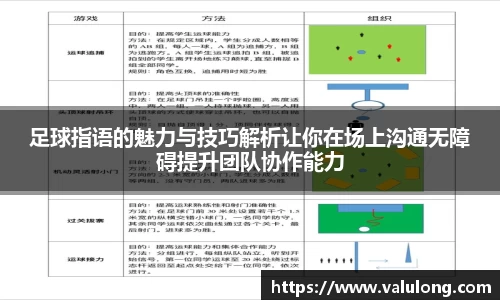 足球指语的魅力与技巧解析让你在场上沟通无障碍提升团队协作能力
